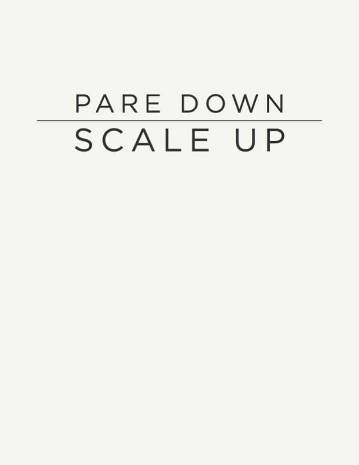 Pare-down-but-Scale-Up-de-smet-dossier