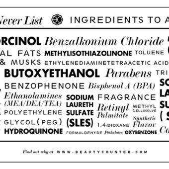 The-Never-List-by-Beautycounter.com-de-smet-dossier-2