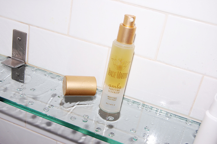 tracie-martin-amla-purifying-cleanser-organic-face-wash-non-toxic-beauty-de-smet-dossier