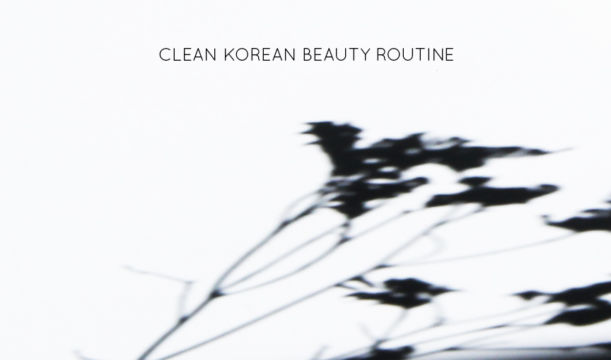 clean-korean-beauty-routine-the-notepasser-and-de-smet-dossier