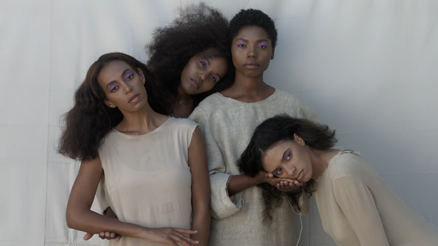 solange-cranes-in-the-sky-de-smet-dossier