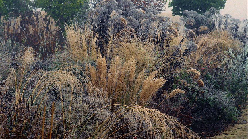 Five-Seasons-The-Gardens-of-Piet-Oudolf-de-smet-dossier-2