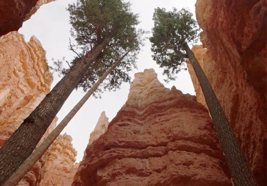 bryce-canyon-national-park-virtual-tour-quarantine-of-consumption-de-smet-dossier