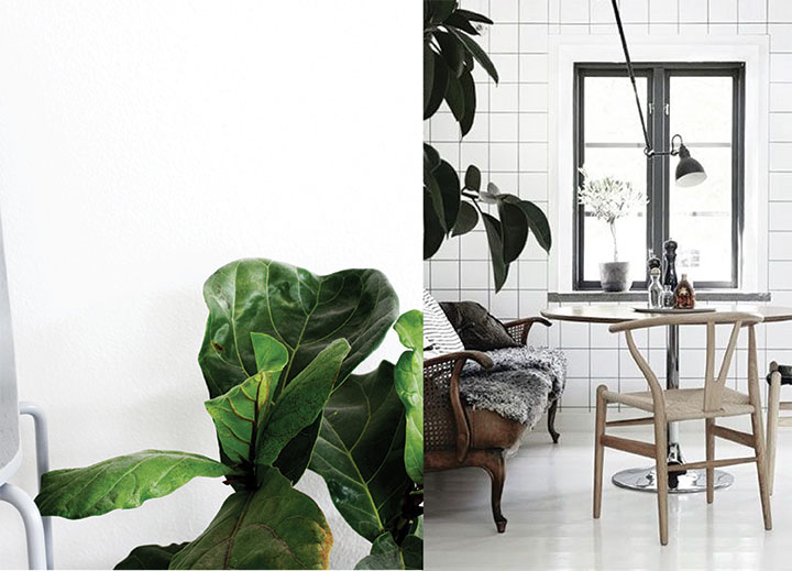 nature-infused-interiors-de-smet-dossier