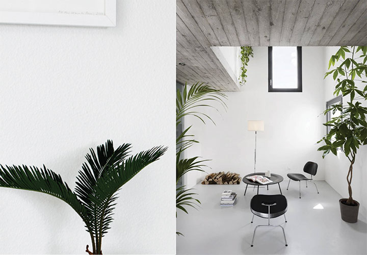 nature-infused-interiors-2-de-smet-dossier