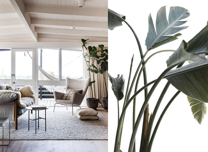 nature-infused-interiors-3-de-smet-dossier