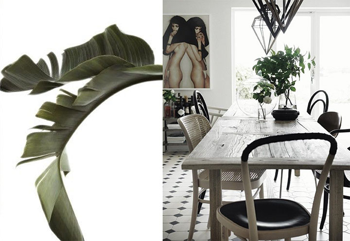 nature-infused-interiors-4-de-smet-dossier