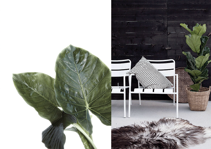 nature-infused-interiors-5-de-smet-dossier