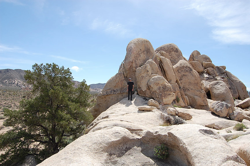 california-dreaming-joshua-tree-desert-national-park-7-de-smet-dossier