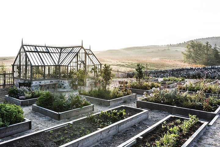 fresh-produce-sources-nyc-organic-gardening-killiehuntly-farmhouse-garden-greenhouse-scotland-cropped-martin-kaufmann-de-smet-dossier