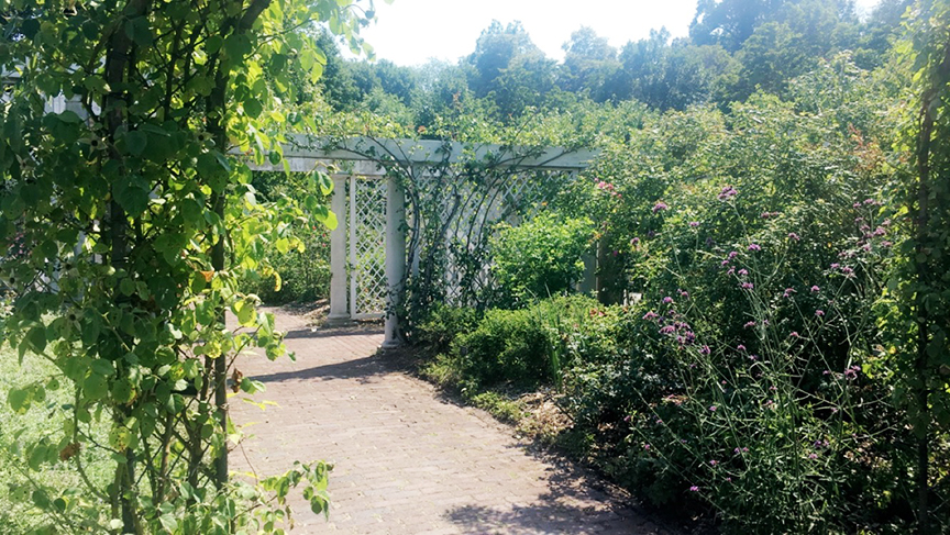 postcard-brooklyn-botanic-gardens-new-york-de-smet-dossier