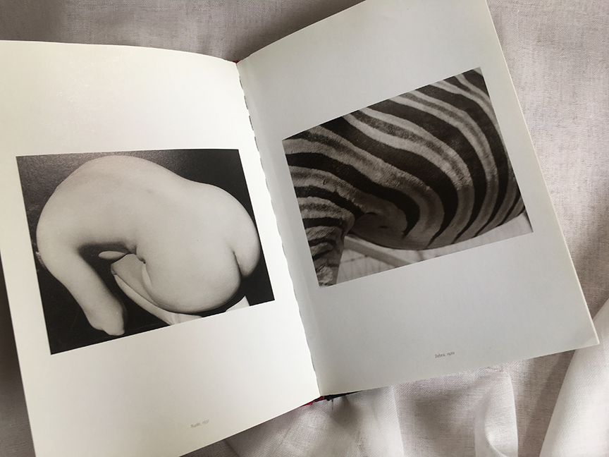 weekend-reading-Iimogen-cunningham-the-modernist-years-5-de-smet-dossier weekend-reading-Iimogen-cunningham-the-modernist-years-5-de-smet-dossier